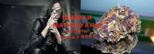 индика Яранск
