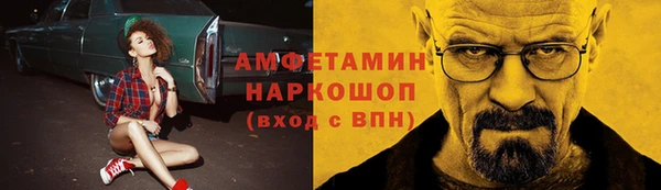 индика Зеленодольск
