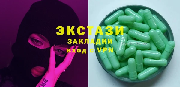индика Зеленодольск