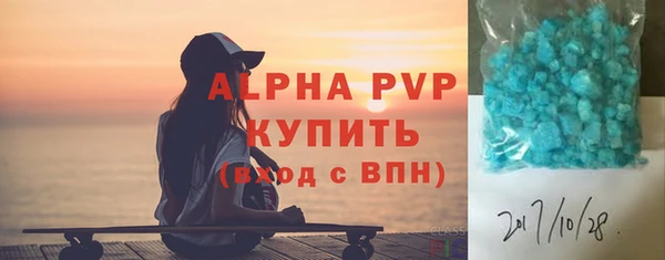 индика Зеленодольск