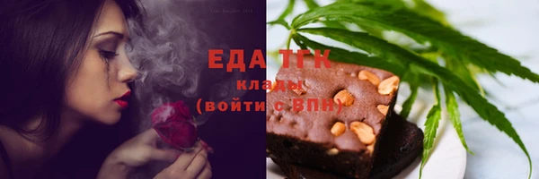 индика Зеленодольск