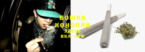 индика Зеленодольск