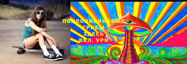 индика Зеленодольск