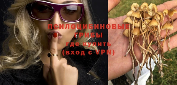 индика Зеленодольск