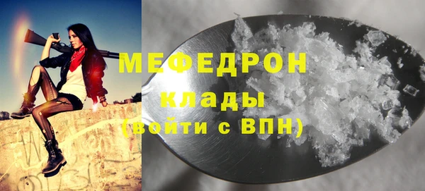 индика Зеленодольск