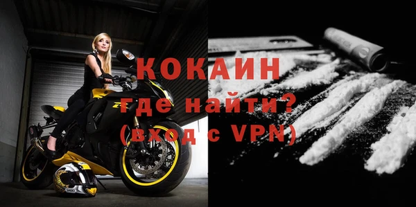 индика Зеленодольск
